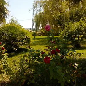  Appartamento Il Giardino Delle Rose A